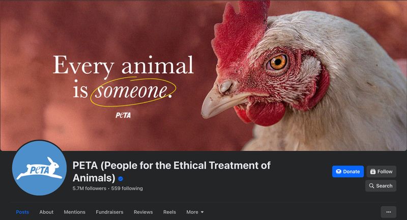 PETA, the largest animal advocacy organization, social media following example.