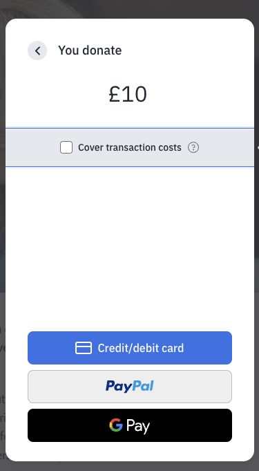 Donation payment providers example